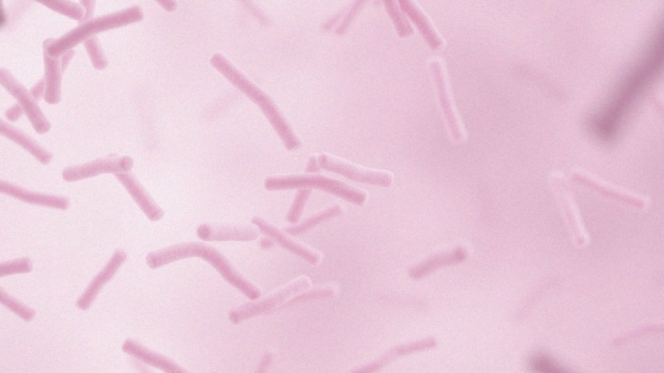 Jak kwas mlekowy produkowany przez Lactobacillus wpływa na pH pochwy?