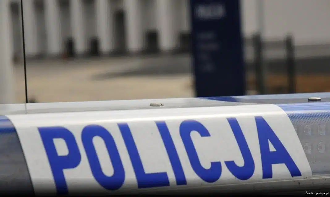 Apel o ostrożność na drogach po zderzeniu z sarną w Orzynach